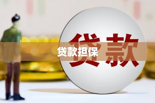 吴堡贷款担保