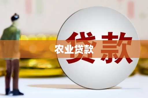 吴堡农业贷款