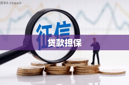 吴堡贷款担保