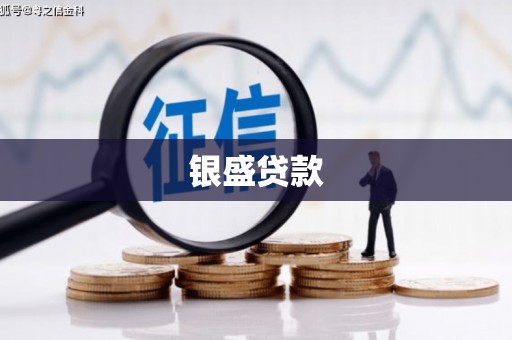 吴堡银盛贷款