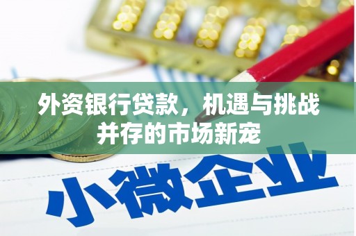 吴堡外资银行贷款，机遇与挑战并存的市场新宠