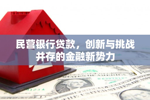 吴堡民营银行贷款，创新与挑战并存的金融新势力