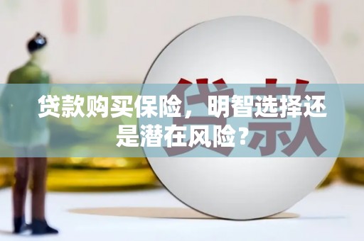 吴堡贷款购买保险，明智选择还是潜在风险？