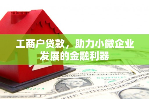吴堡工商户贷款，助力小微企业发展的金融利器