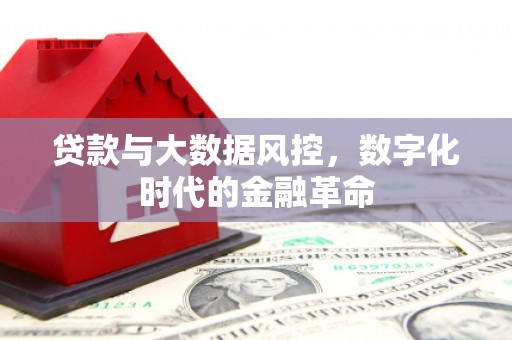吴堡贷款与大数据风控，数字化时代的金融革命