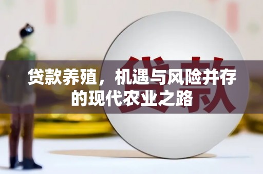 吴堡贷款养殖，机遇与风险并存的现代农业之路