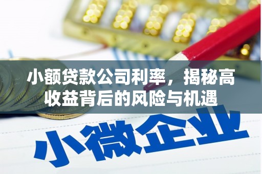 吴堡小额贷款公司利率，揭秘高收益背后的风险与机遇