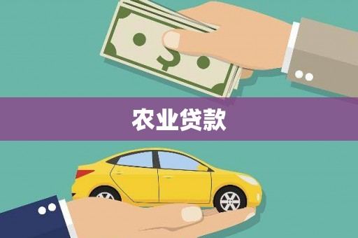 吴堡农业贷款