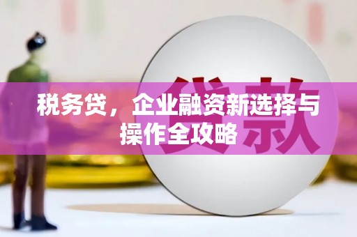 吴堡税务贷，企业融资新选择与操作全攻略
