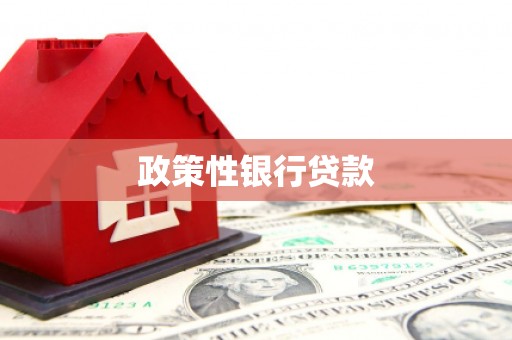 吴堡政策性银行贷款