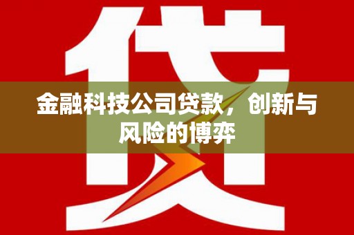 吴堡金融科技公司贷款，创新与风险的博弈
