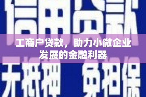 吴堡工商户贷款，助力小微企业发展的金融利器