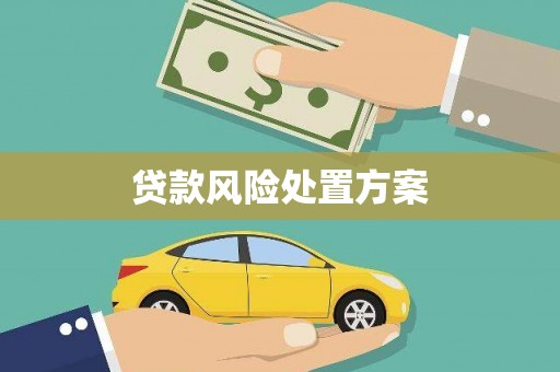 吴堡贷款风险处置方案