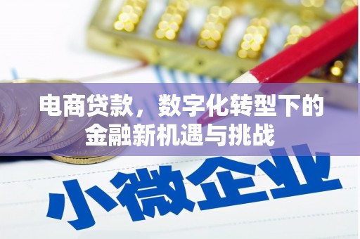 吴堡电商贷款，数字化转型下的金融新机遇与挑战
