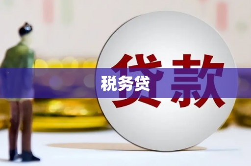 吴堡税务贷