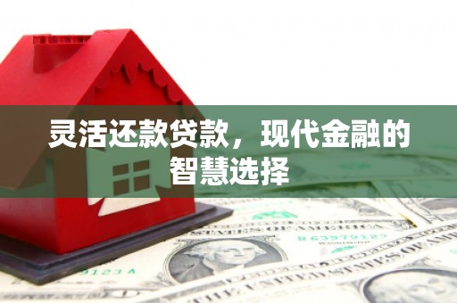 吴堡灵活还款贷款，现代金融的智慧选择