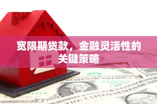 吴堡宽限期贷款，金融灵活性的关键策略