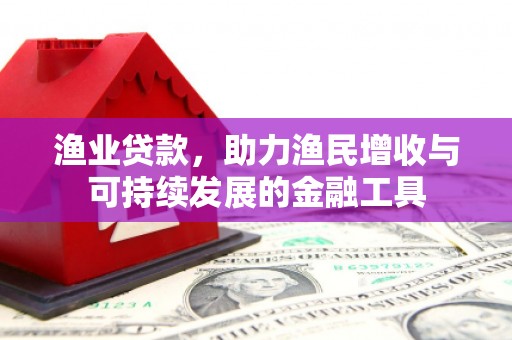 吴堡渔业贷款，助力渔民增收与可持续发展的金融工具