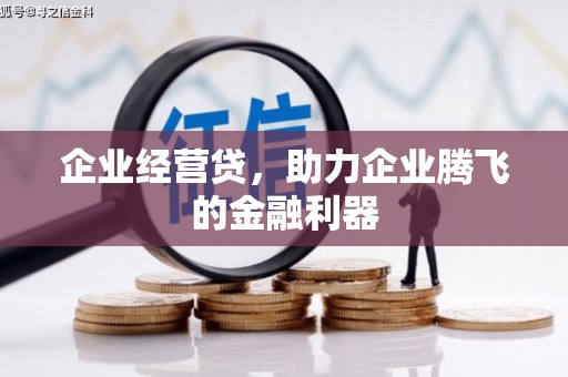 吴堡企业经营贷，助力企业腾飞的金融利器