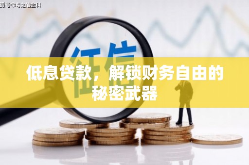 吴堡低息贷款，解锁财务自由的秘密武器