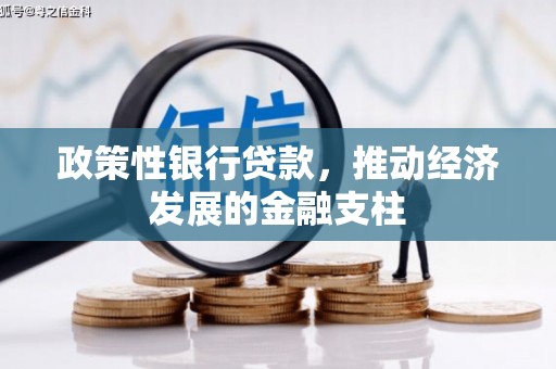 吴堡政策性银行贷款，推动经济发展的金融支柱