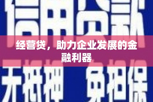 吴堡经营贷，助力企业发展的金融利器