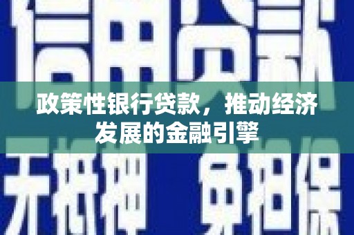 吴堡政策性银行贷款，推动经济发展的金融引擎
