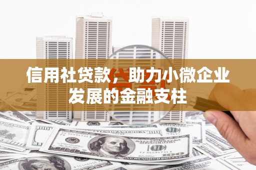 吴堡信用社贷款，助力小微企业发展的金融支柱