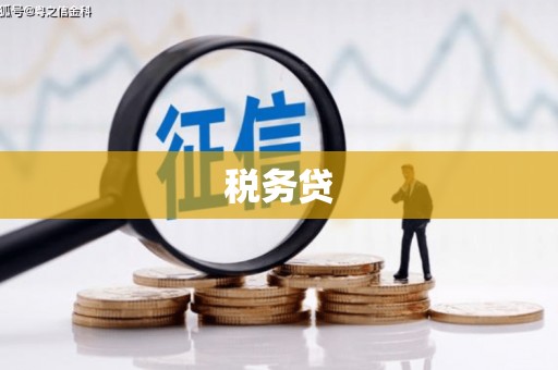 吴堡税务贷