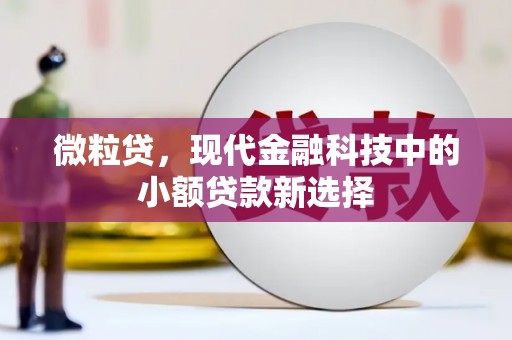 吴堡微粒贷，现代金融科技中的小额贷款新选择