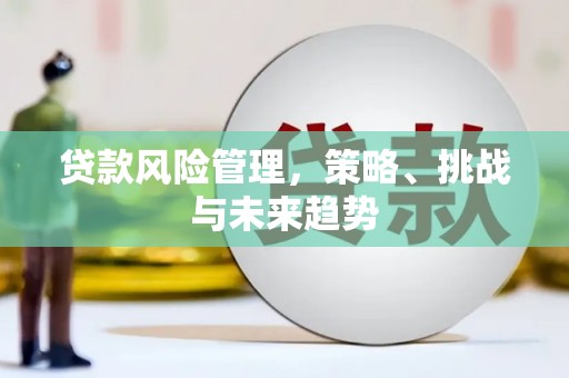 吴堡贷款风险管理，策略、挑战与未来趋势
