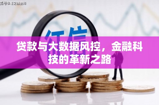 吴堡贷款与大数据风控，金融科技的革新之路