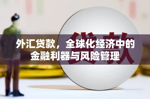 吴堡外汇贷款，全球化经济中的金融利器与风险管理