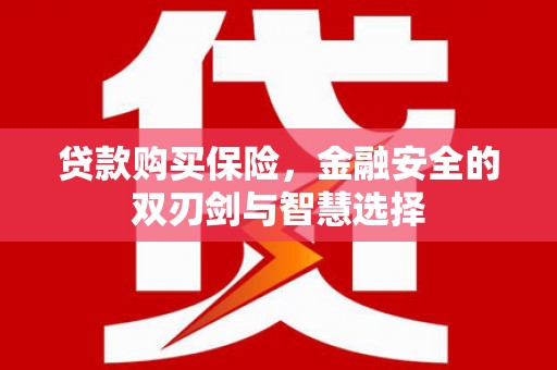 吴堡贷款购买保险，金融安全的双刃剑与智慧选择