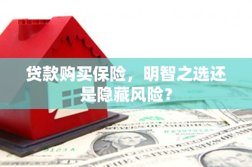 吴堡贷款购买保险，明智之选还是隐藏风险？