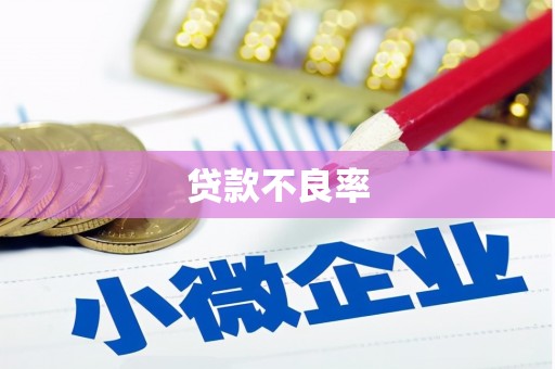 吴堡贷款不良率