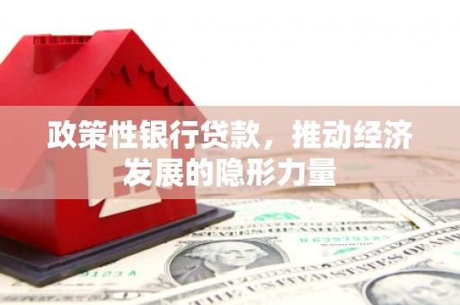 吴堡政策性银行贷款，推动经济发展的隐形力量