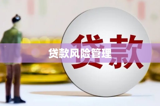 吴堡贷款风险管理
