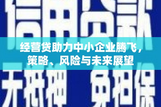吴堡经营贷助力中小企业腾飞，策略、风险与未来展望
