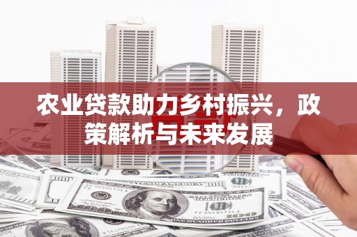 吴堡农业贷款助力乡村振兴，政策解析与未来发展