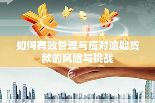 吴堡如何有效管理与应对逾期贷款的风险与挑战