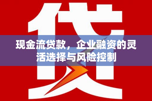吴堡现金流贷款，企业融资的灵活选择与风险控制