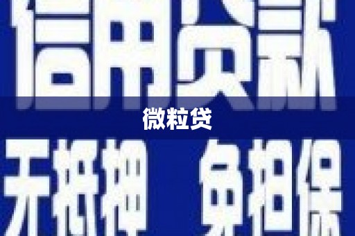 吴堡微粒贷