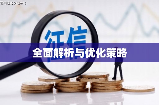 吴堡全面解析与优化策略