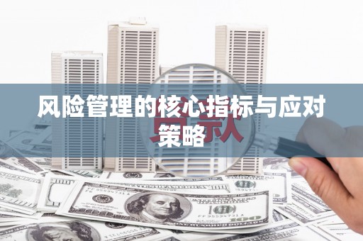 吴堡风险管理的核心指标与应对策略
