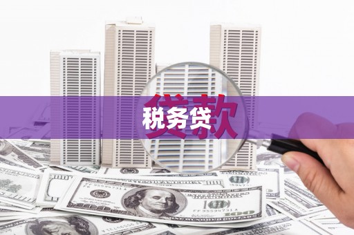 吴堡税务贷