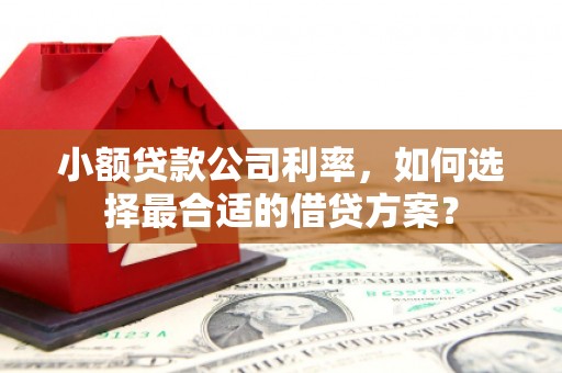 吴堡小额贷款公司利率，如何选择最合适的借贷方案？