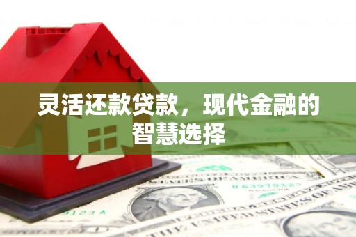 吴堡灵活还款贷款，现代金融的智慧选择