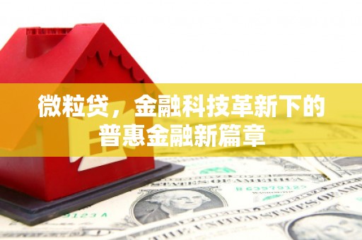 吴堡微粒贷，金融科技革新下的普惠金融新篇章