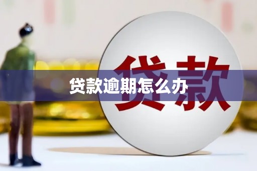 吴堡贷款逾期怎么办